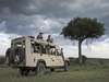 Porini Lion Camp -Game Drive 